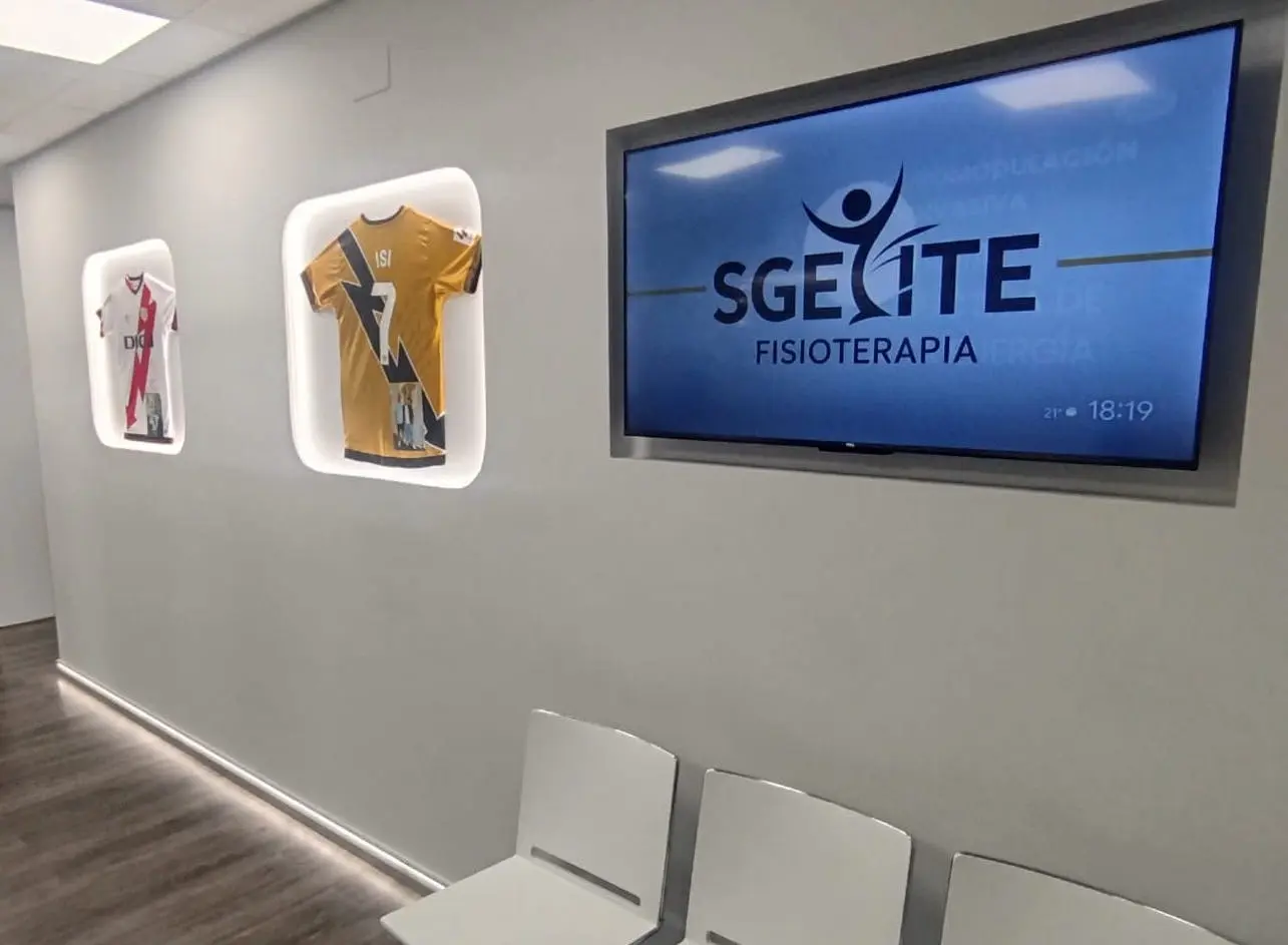 Entrada SGELITE